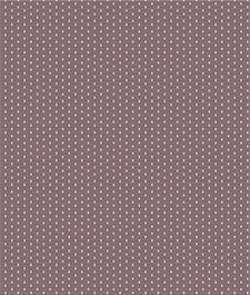 IMAGE_T