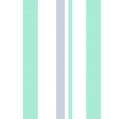 IMAGE_T