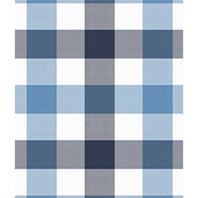 IMAGE_T