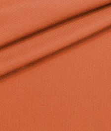 IMAGE_T