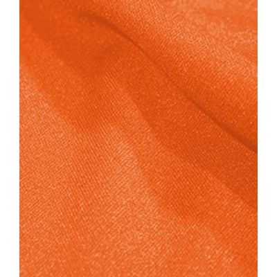 IMAGE_T