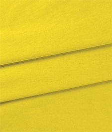 IMAGE_T