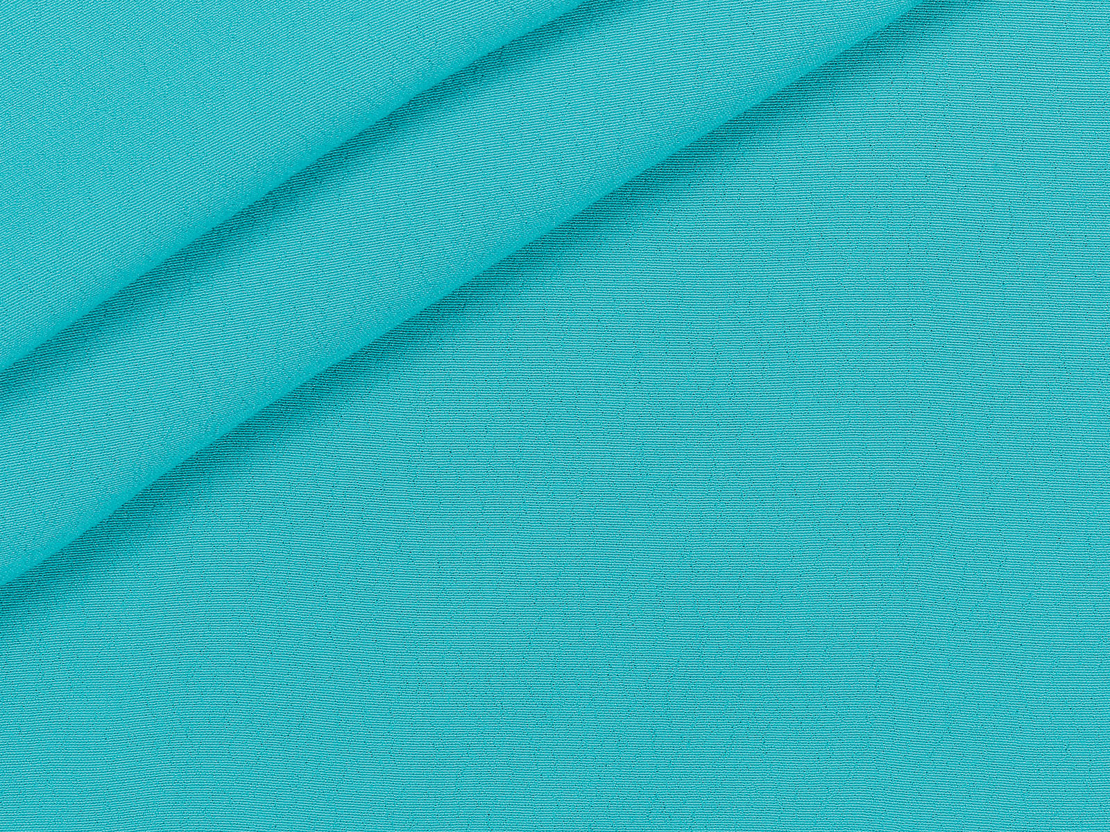 IMAGE_L