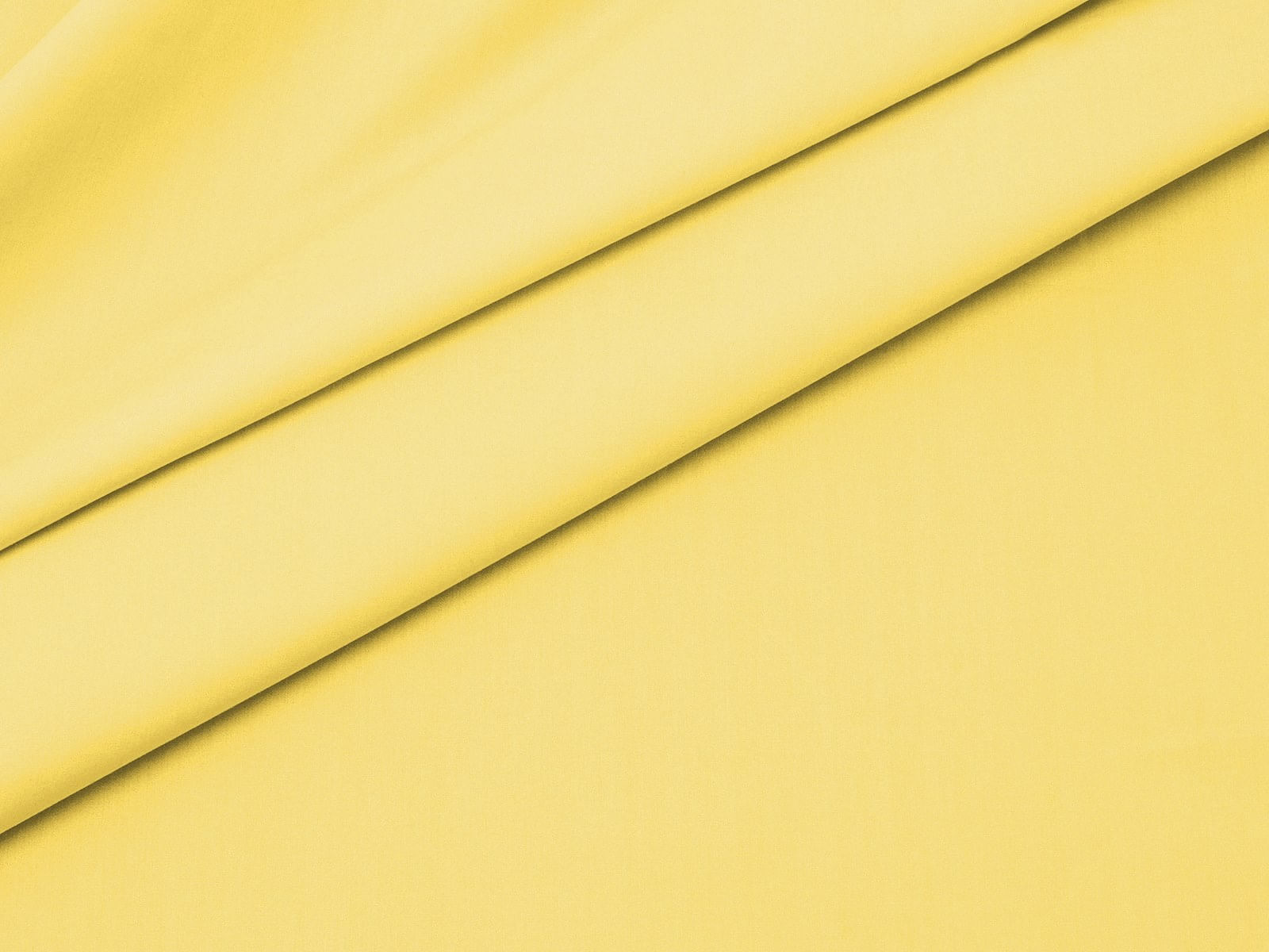 IMAGE_L