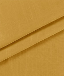 IMAGE_T