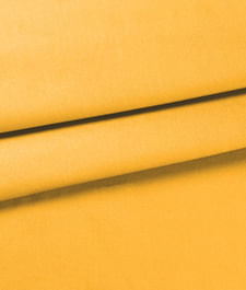 IMAGE_T
