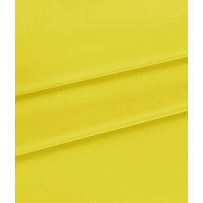 IMAGE_T