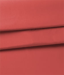 IMAGE_T