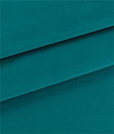 IMAGE_T