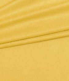 IMAGE_T