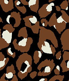 IMAGE_T