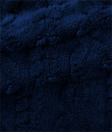 IMAGE_T