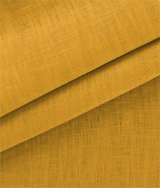 IMAGE_T