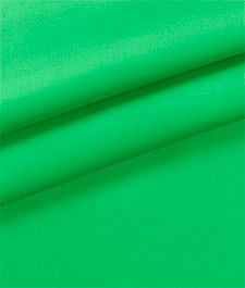 IMAGE_T