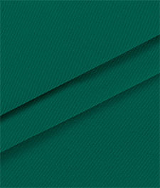 IMAGE_T
