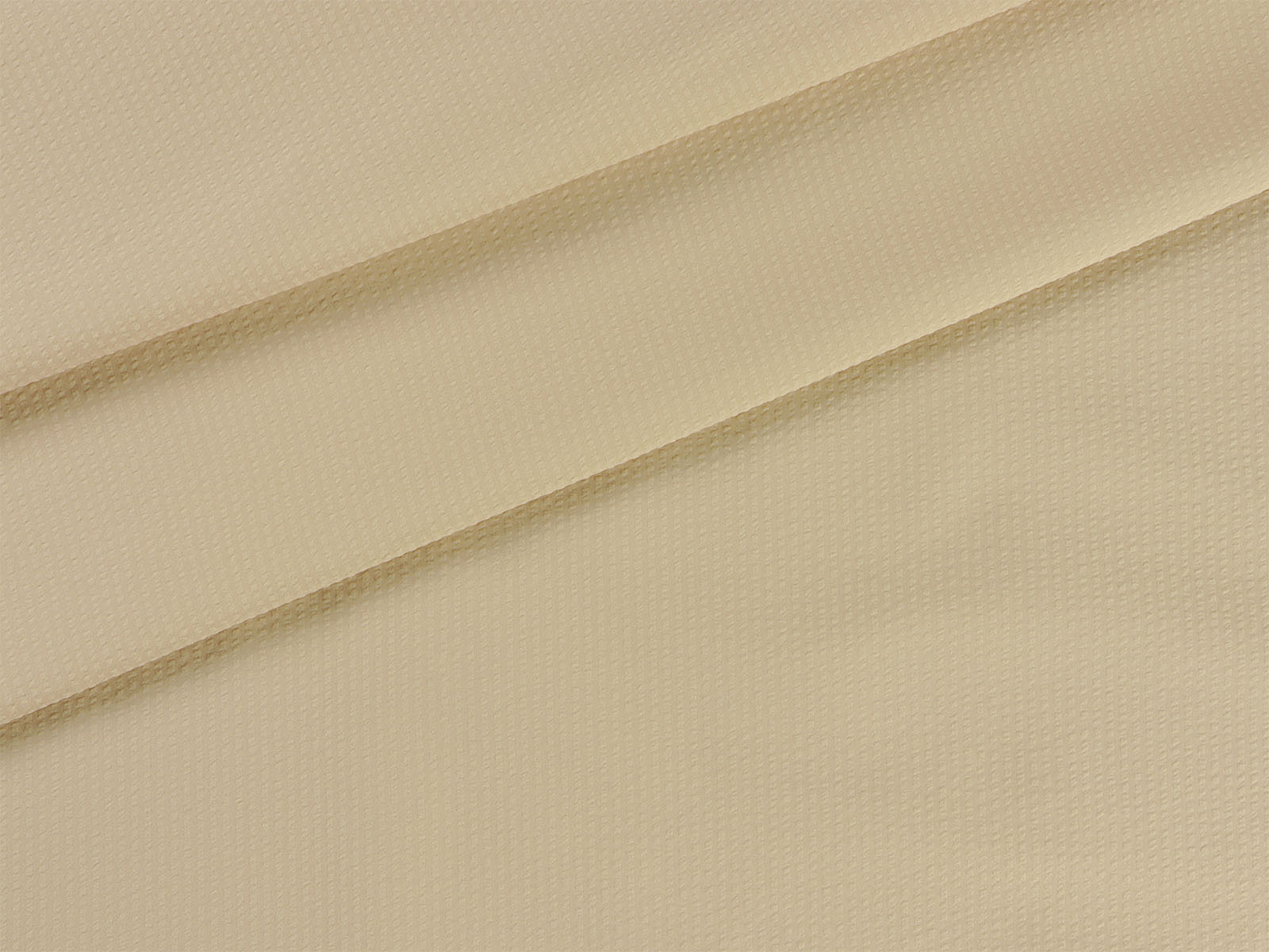 IMAGE_L