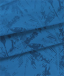 IMAGE_T