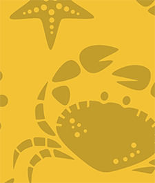 IMAGE_T