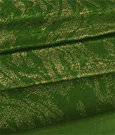 IMAGE_T