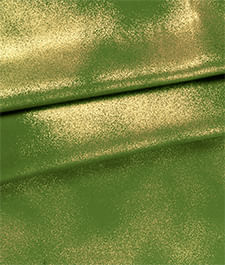 IMAGE_T