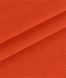 IMAGE_T