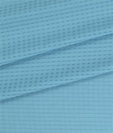 IMAGE_T