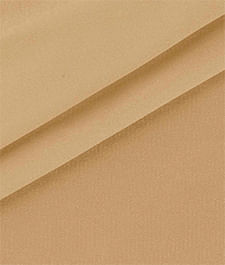 IMAGE_T