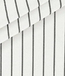 IMAGE_T
