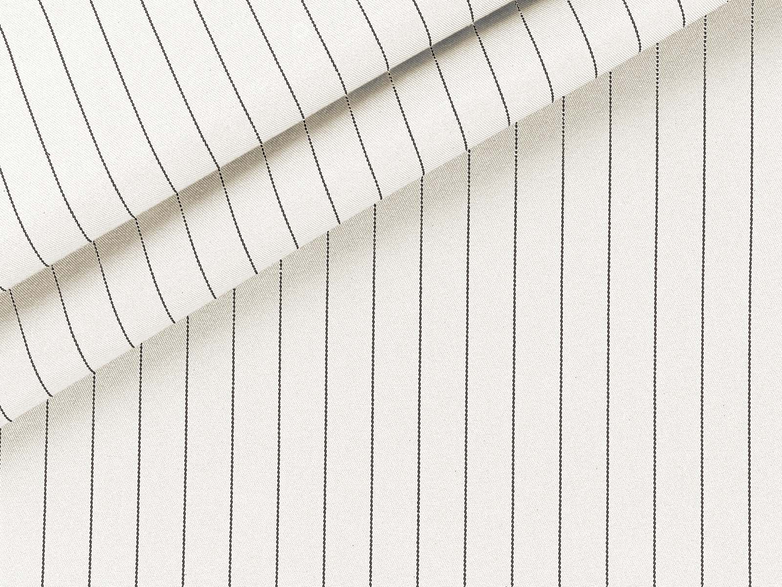 IMAGE_L