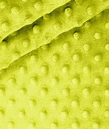 IMAGE_T