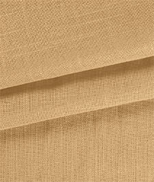 IMAGE_T