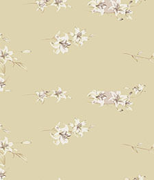IMAGE_T