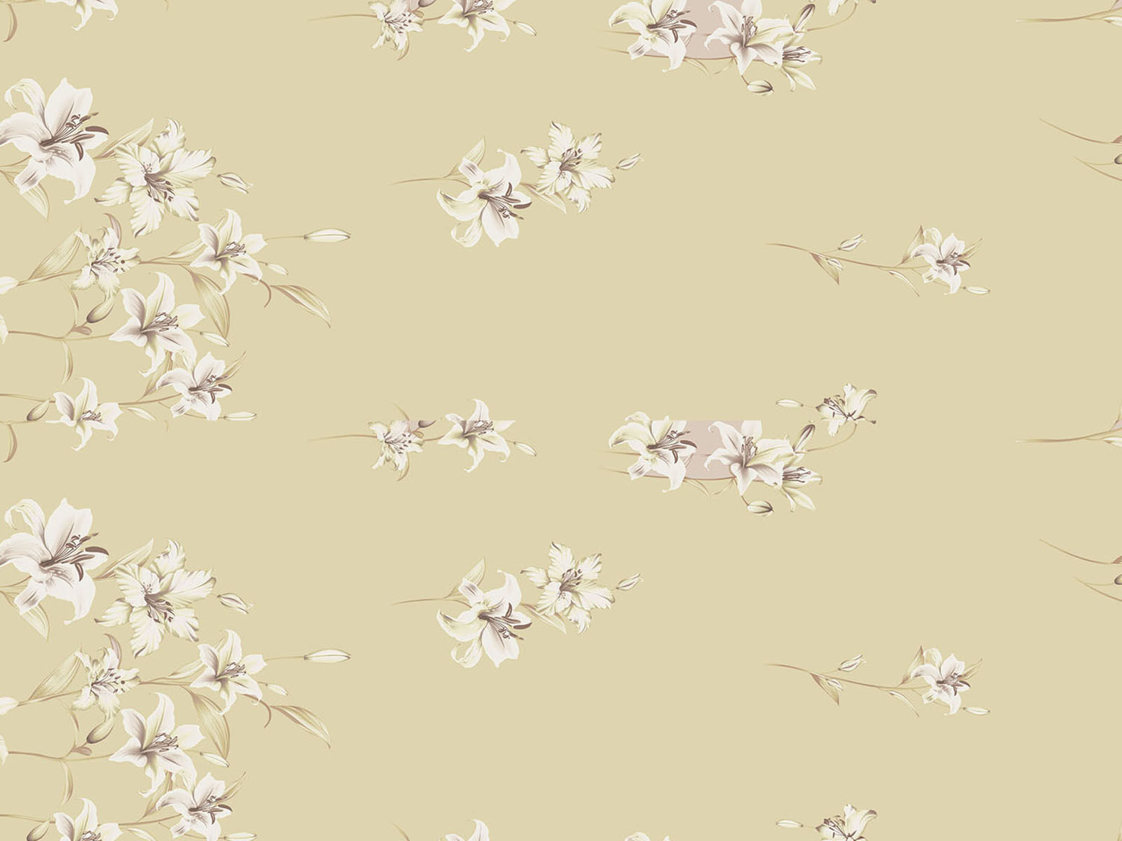 IMAGE_L