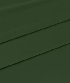 IMAGE_T