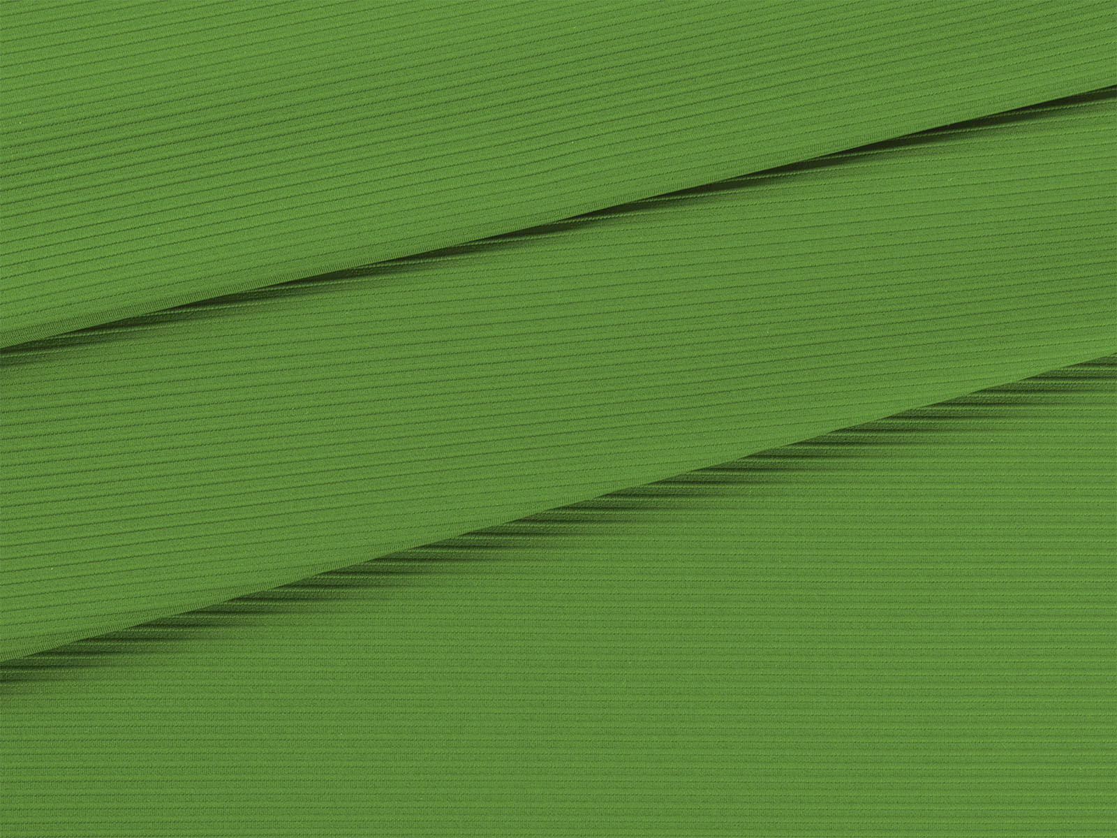 IMAGE_L