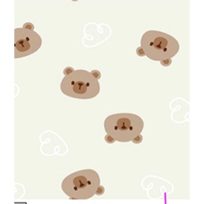 IMAGE_T