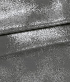 IMAGE_T
