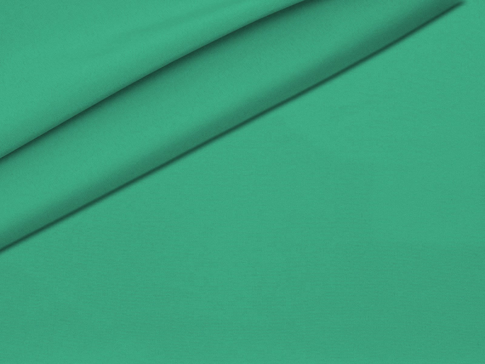 IMAGE_L