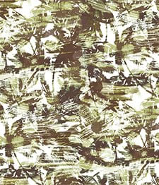 IMAGE_T