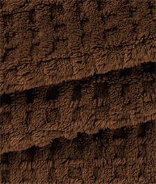 IMAGE_T