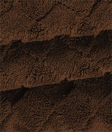 IMAGE_T