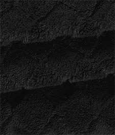 IMAGE_T
