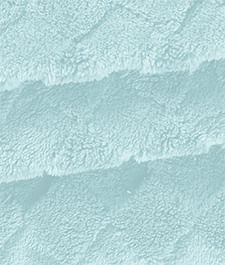 IMAGE_T