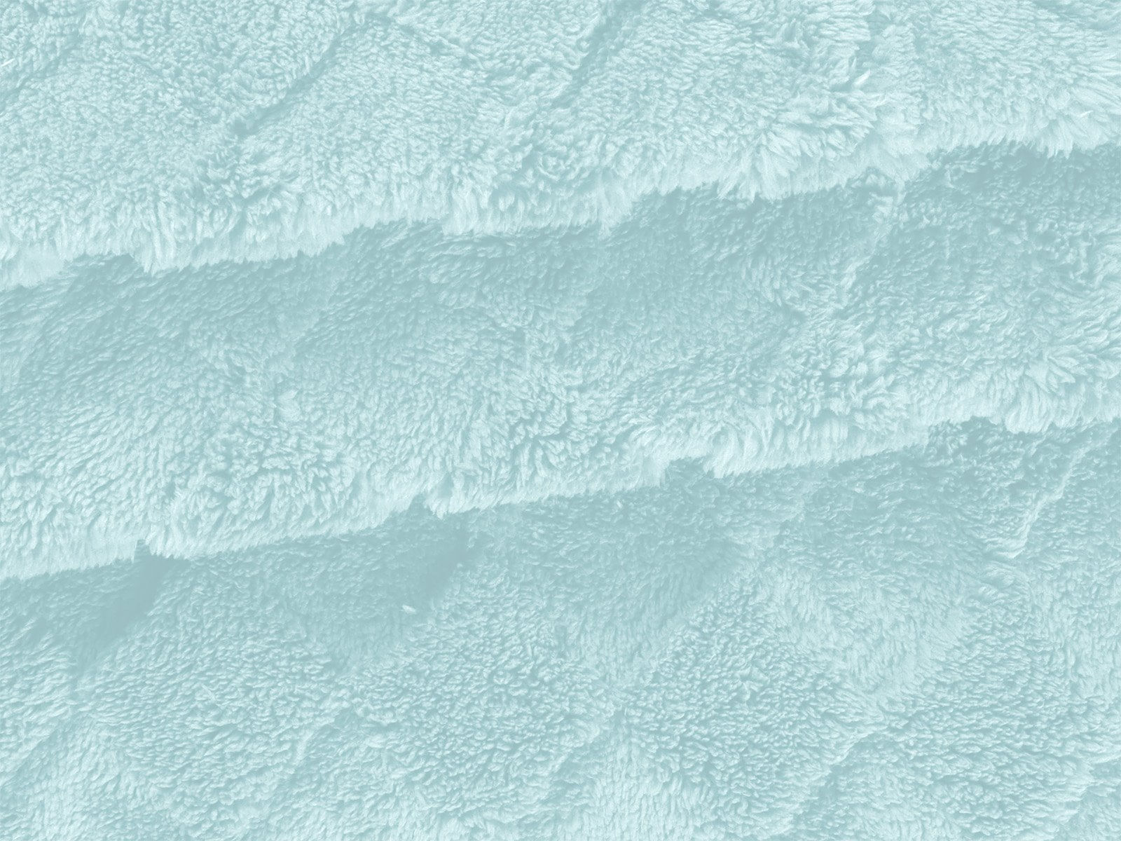 IMAGE_L
