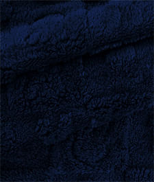 IMAGE_T