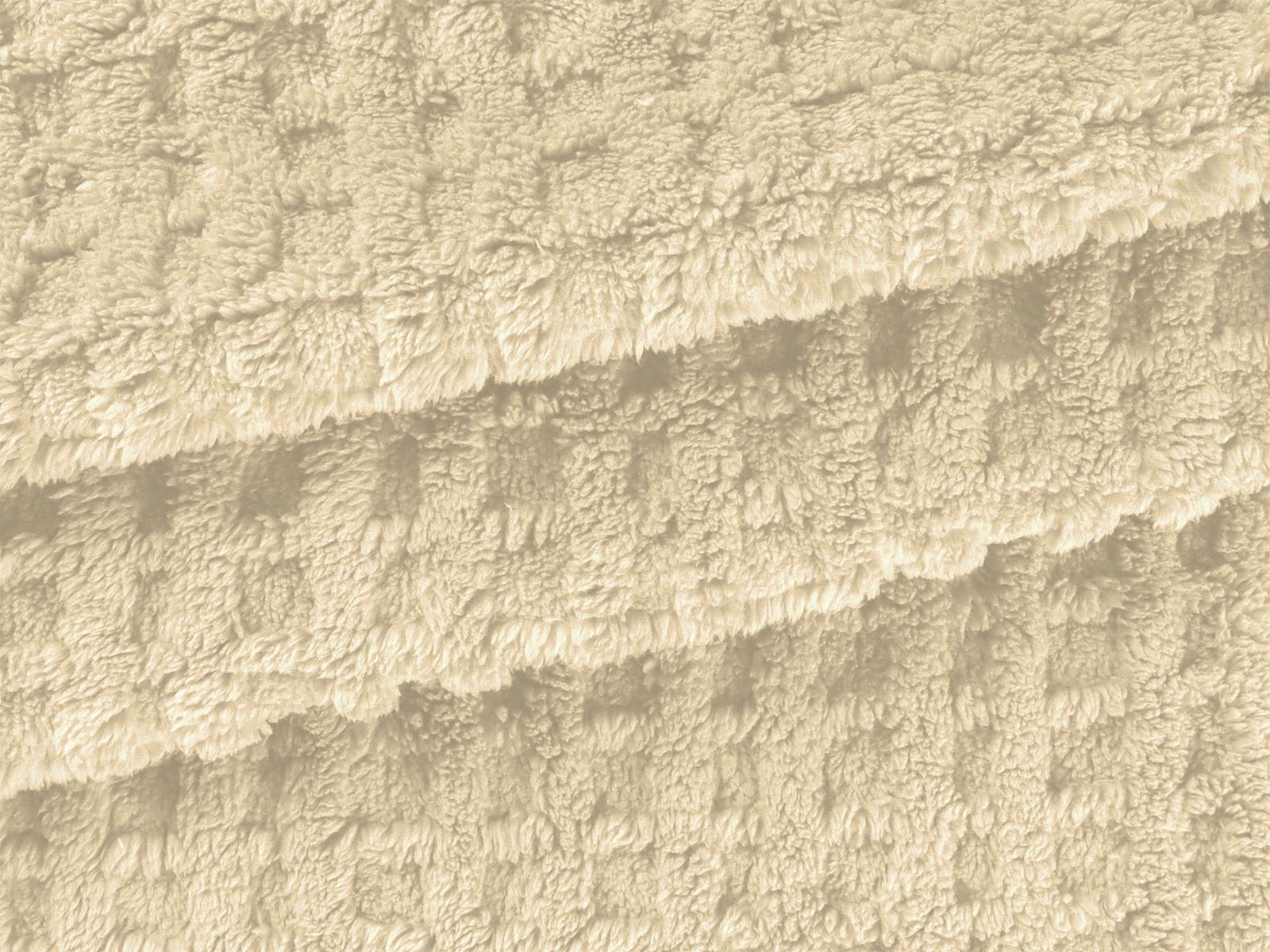 IMAGE_L