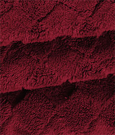 IMAGE_T