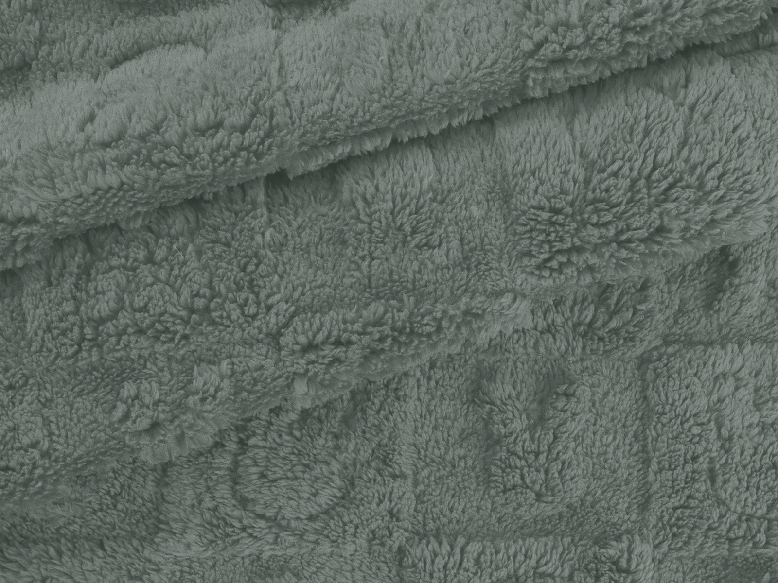 IMAGE_L