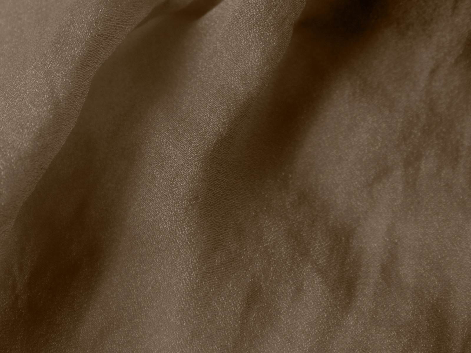 IMAGE_L