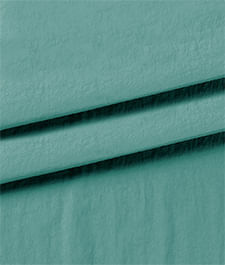 IMAGE_T